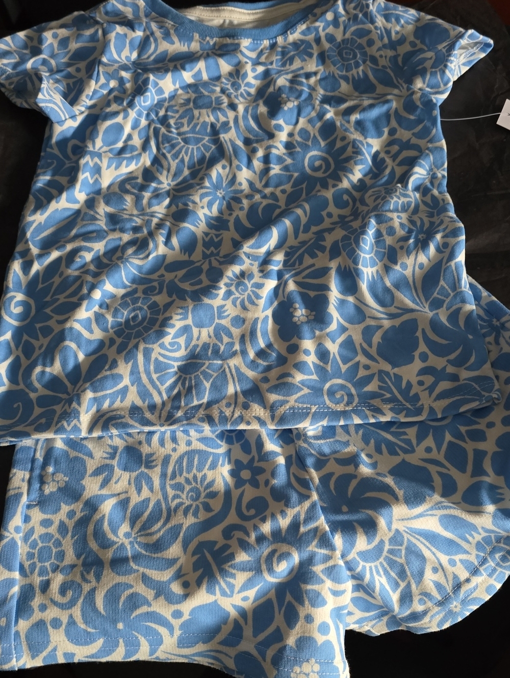 Wonder Nation Girls top and bottom